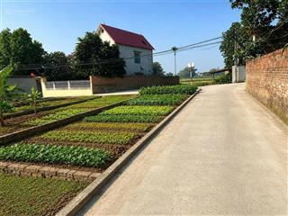 Chính chủ cần tiền trả nợ gửi bán gấp lô đất 85,7m² tại xuân mai, giá tốt nhất