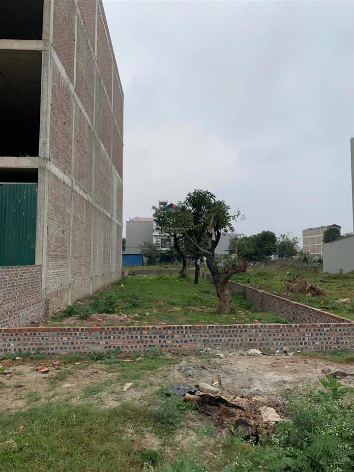 Do cần tiền gấp lấy vốn làm ăn, vợ chông em quyết định bán lô đất 0949 548 ***