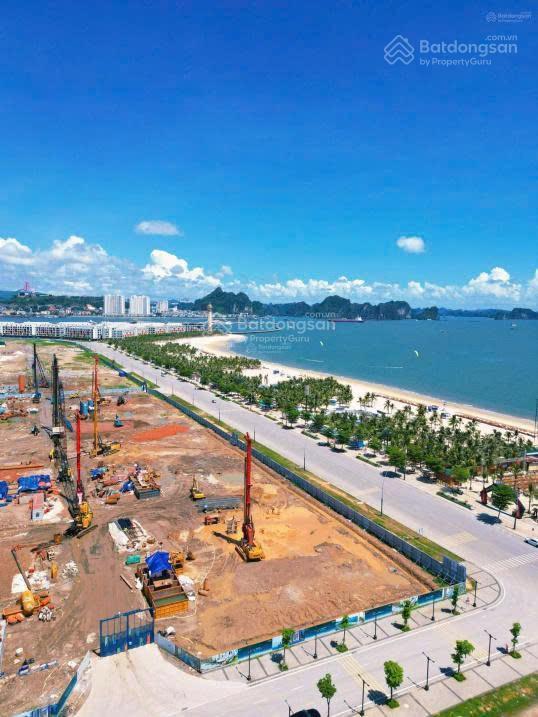 Quỹ studio centrotow mặt biển hạ log .rẻ nhất thị trường.ck lên đến 25%