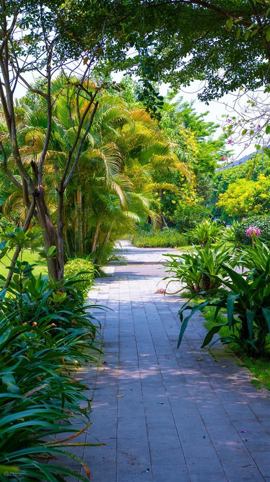 Full nội thất  không gian xanh  second home đáng sở hữu tại hội an