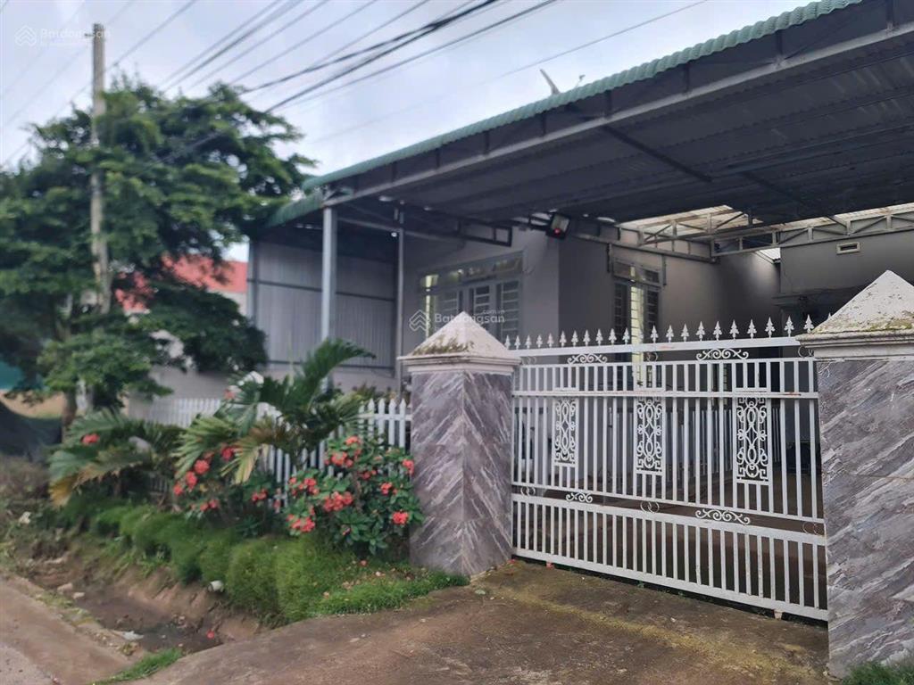 Bán nhà sân vườn kinh doanh có 19*100 mặt tiền đường nhựa nhà thờ an hòa, cư xá liên hiệp đức