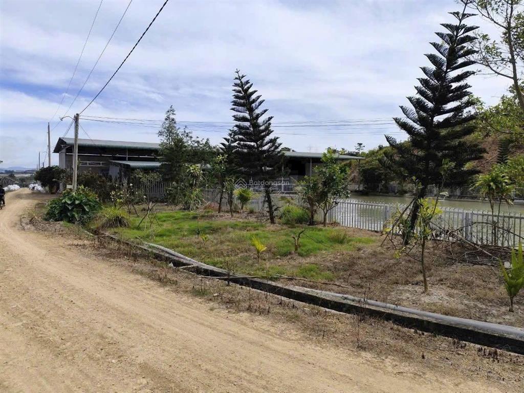 Em lên siêu phẩm diện tích 7,2 ha sổ đủ cách sân bay liên khương chỉ 17km