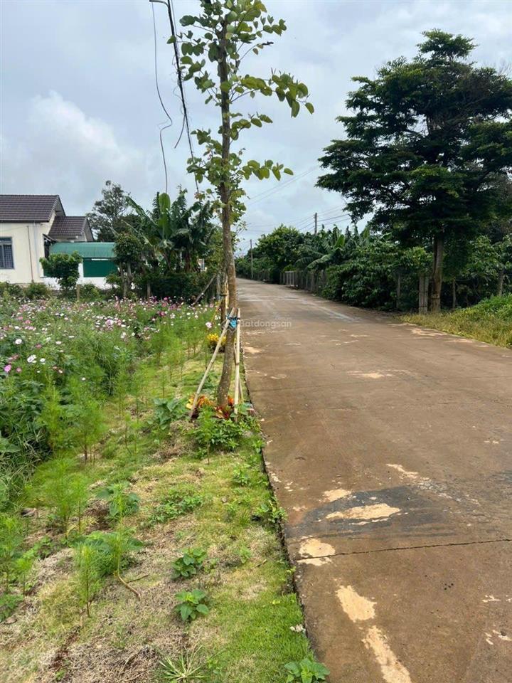 Cần bán đất cư xá liên hiệp cũ, đức trọng, lâm đồng.
cách vòng xoay liên khương chỉ 1km
diện