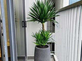 Hot  nhà mặt tiền đường thông lớn 10m mới xây, 80m2 giá cực rẻ.