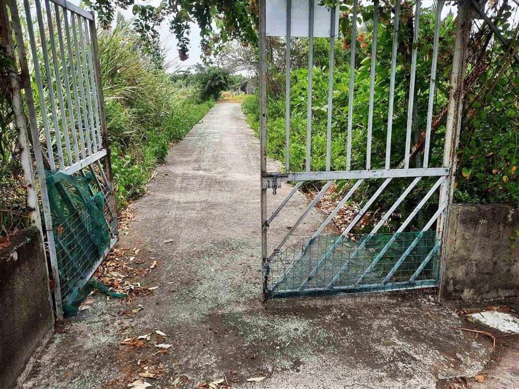 Long an  bán nhà yến 3 sàn đang khai thác