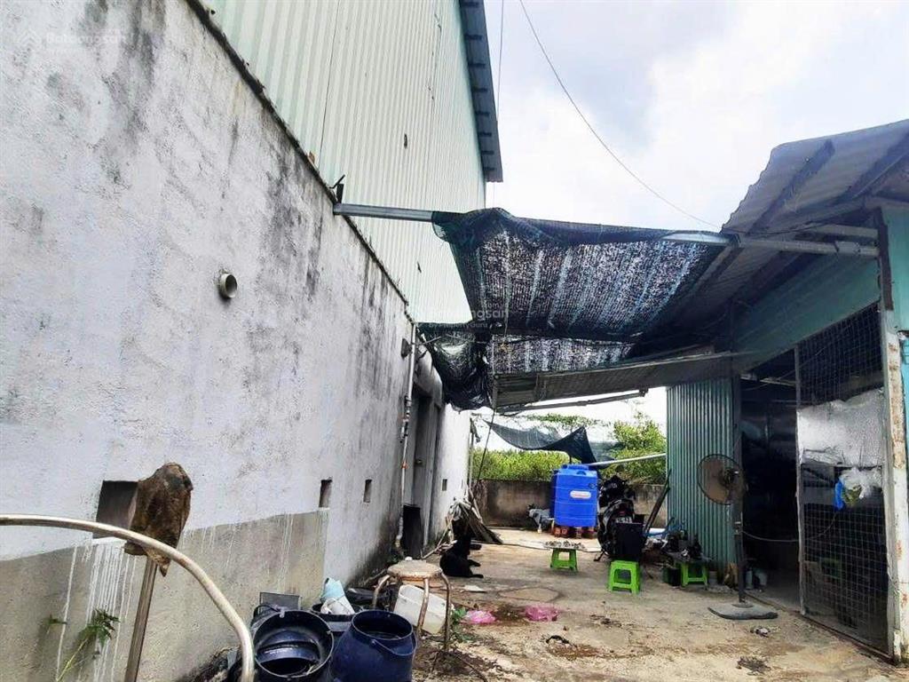 Long an  bán nhà yến 3 sàn đang khai thác