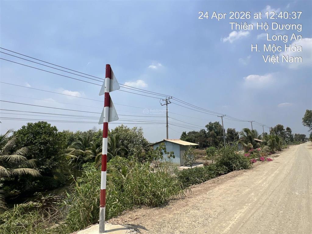 Siêu phẩm mặt tiền nhựa 12m  hơn 1.2 mẫu tại mộc hóa, tây ninh