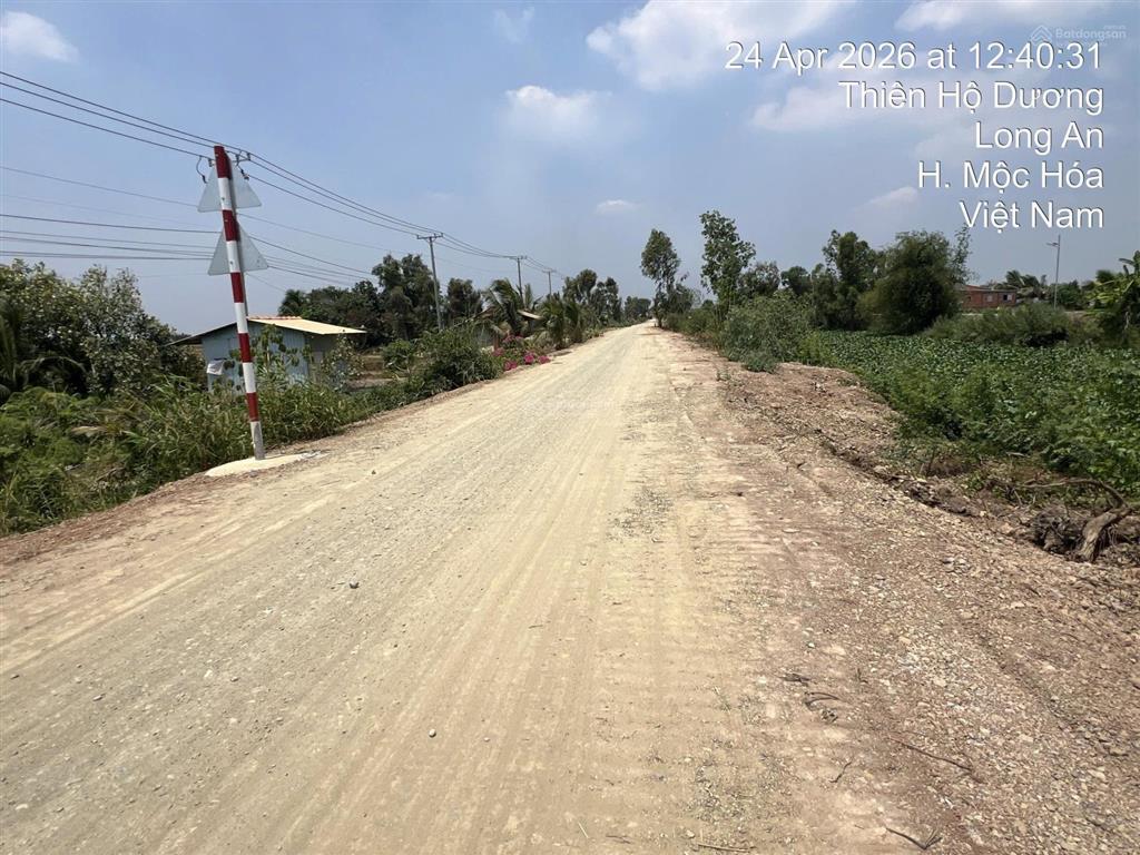 Siêu phẩm mặt tiền nhựa 12m  hơn 1.2 mẫu tại mộc hóa, tây ninh