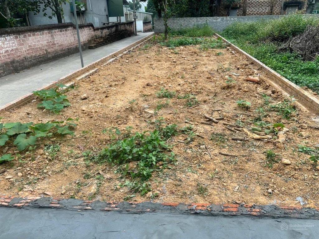 Đất nền tân xã hòa lạc giảm sâu 300 triệu, vị trí đẹp, đầu tư sinh lời cực hấp dẫn ngay!