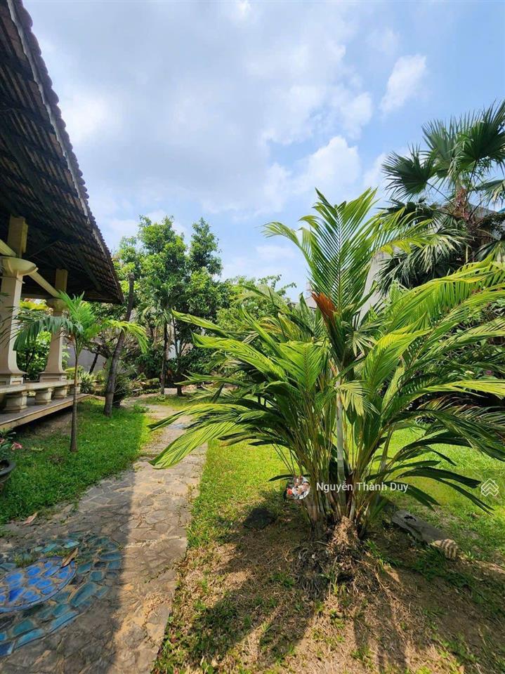 Biệt thự cổ gỗ sân vườn từng lên bìa tạp chí nhà đẹp  1164m2 chỉ nhỉnh 40 tỷ tl  giá đất tặng nhà