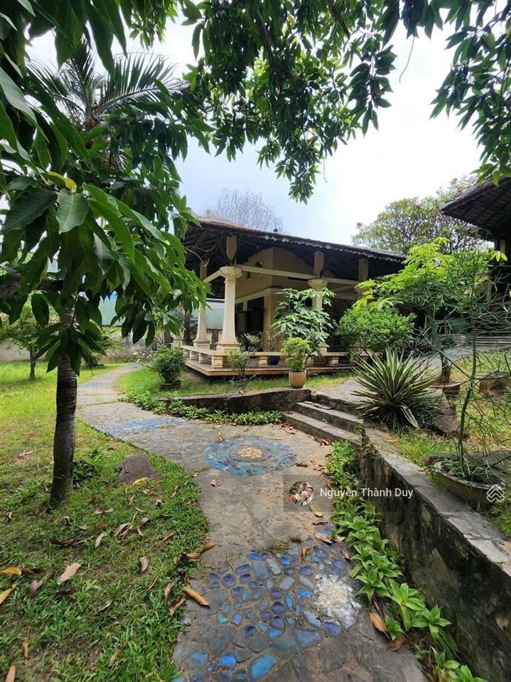 Biệt thự cổ gỗ sân vườn từng lên bìa tạp chí nhà đẹp  1164m2 chỉ nhỉnh 40 tỷ tl  giá đất tặng nhà