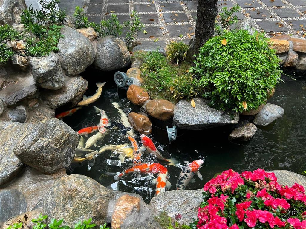 Bán gấp nr 5pn 5wc tại đặng tiến đông, 57m2, 19,8 tỷ, view đẹp