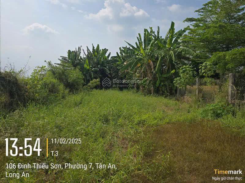 Bán đất thổ cư trung tâm tp. tân an, long an  dt 1.030m², 395m² thổ cư  chỉ 6,2tỷ thương lượng