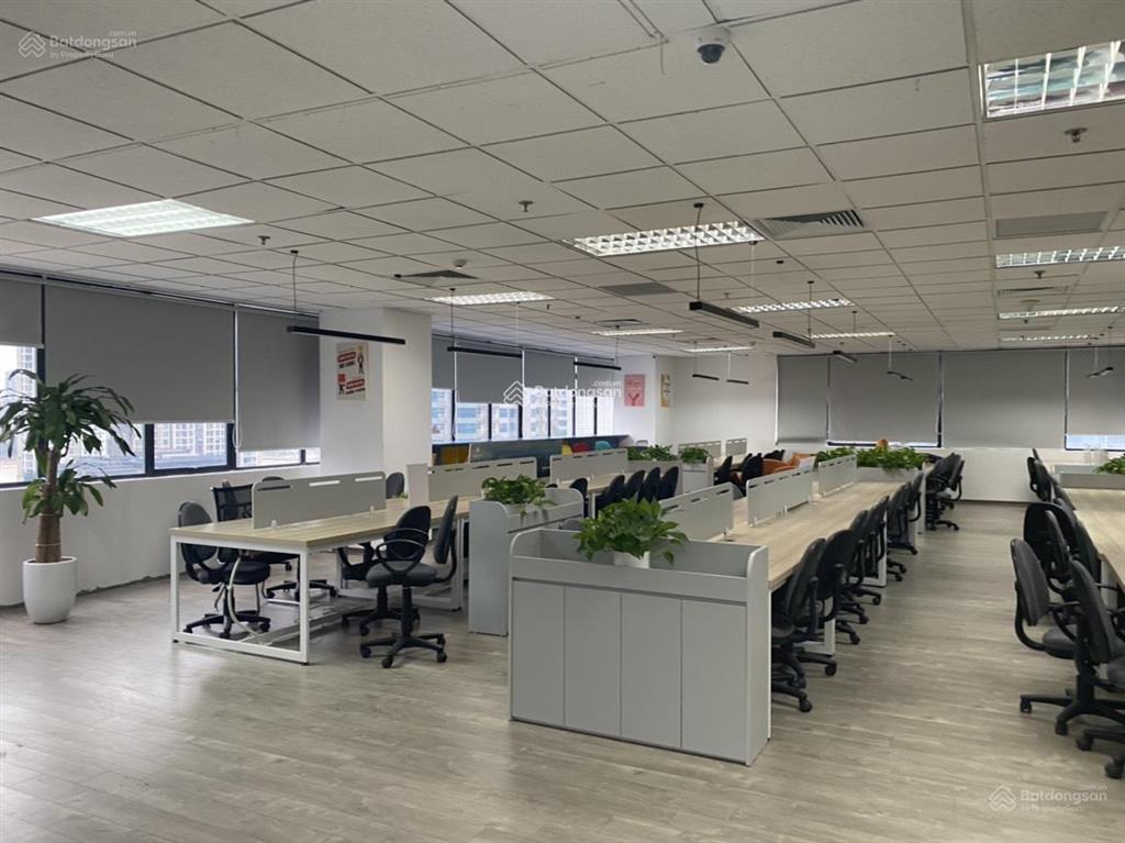 Bql cho thuê văn phòng tại tòa n05 hoàng đạo thúy dt 500m có cắt nhỏ giá 250k/m  0856 655 ***