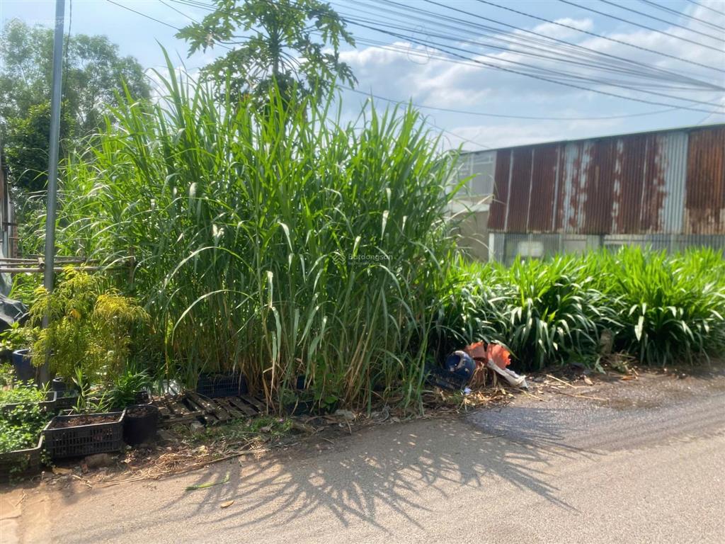 Bán 429m2 đất ngay cổng sau sân bay long thành  có thổ cư  giao dịch ngay