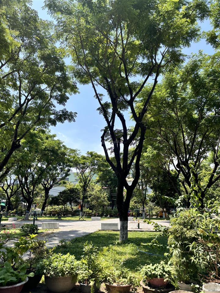 Bán đất tại dương đình nghệ, giá tốt 16,5 tỷ, 114m2 view đẹp