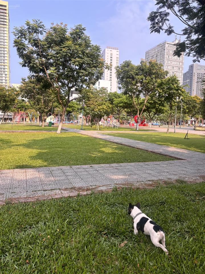 Bán đất tại dương đình nghệ, giá tốt 16,5 tỷ, 114m2 view đẹp