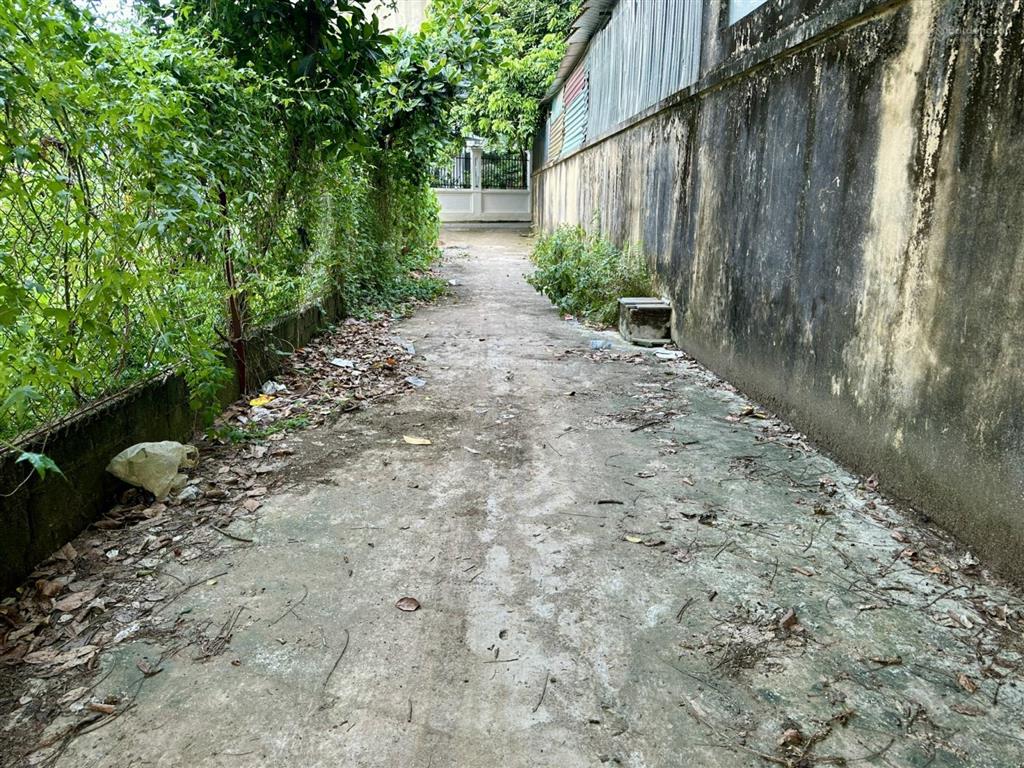 Bán 131m2 đất đồi 1, đông phương yên, chương mỹ  cách ql6 chỉ 100m