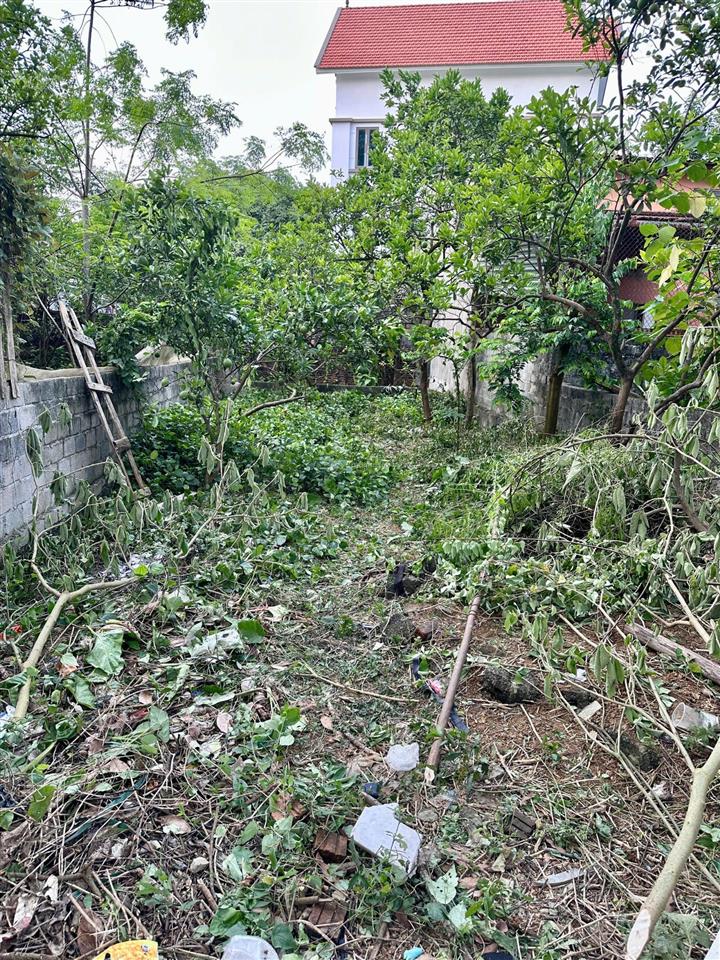 Bán 131m2 đất đồi 1, đông phương yên, chương mỹ  cách ql6 chỉ 100m