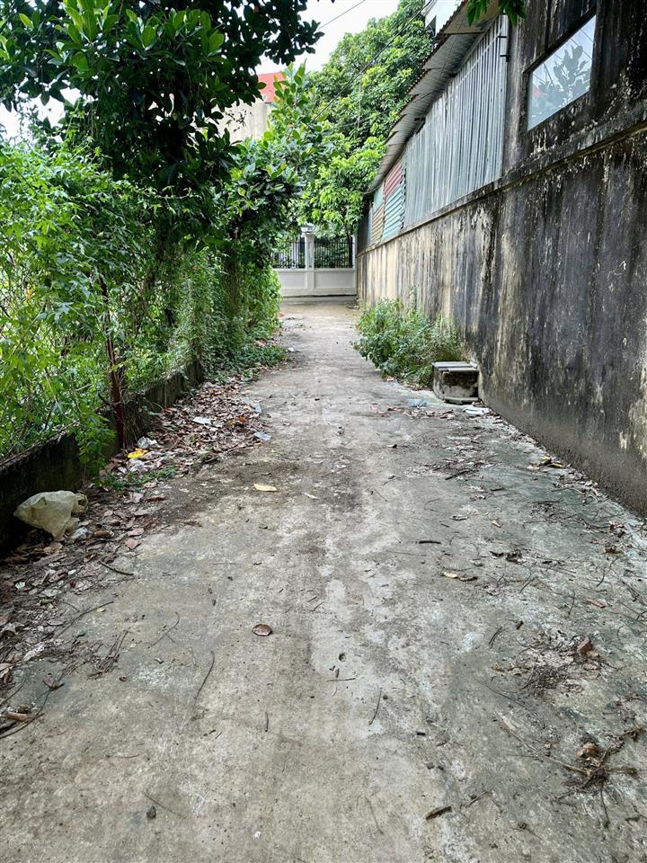 Bán 131m2 đất đồi 1, đông phương yên, chương mỹ  cách ql6 chỉ 100m