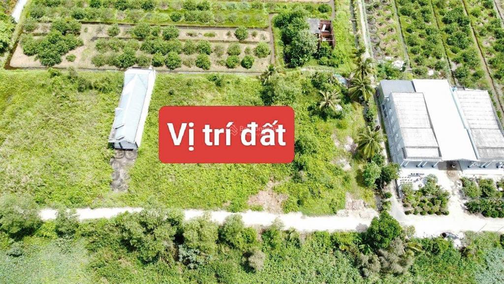 Chính chủ bán hàng hiếm thủ thừa, long an 1000m2 thổ cư, sát đt 818  giá rẻ trong khu vực  2.95tỷ