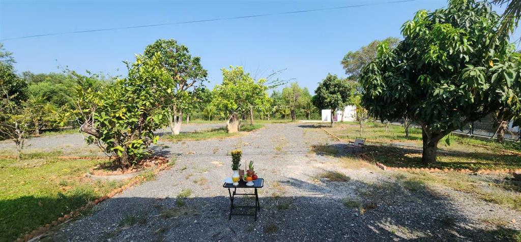 15.9 tỷ sở hữu lô farm 2mt 1835m2 shcc cạnh melia & casino hồ tràm  0904 787 ***