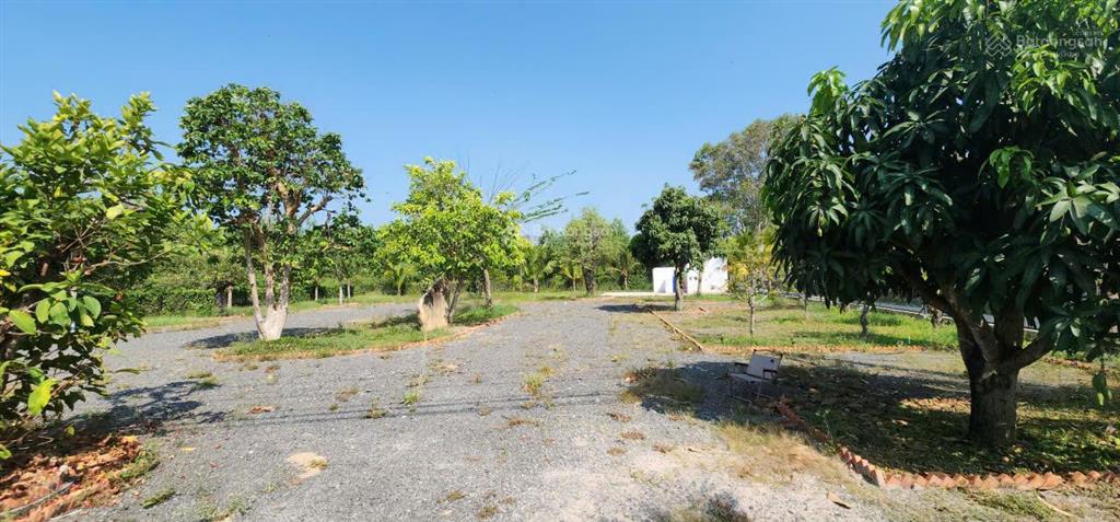 15.9 tỷ sở hữu lô farm 2mt 1835m2 shcc cạnh melia & casino hồ tràm  0904 787 ***
