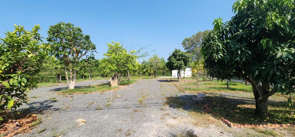Lô farm nghỉ dưỡng hồ tràm  góc 2mt dt 1835m2  250m2 thổ cư  sh sẵn  cách biển 3km