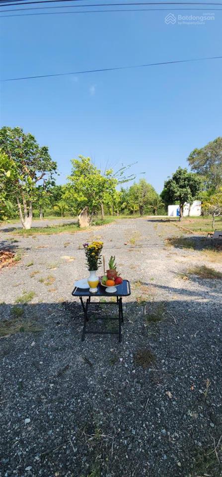Lô farm nghỉ dưỡng hồ tràm  góc 2mt dt 1835m2  250m2 thổ cư  sh sẵn  cách biển 3km