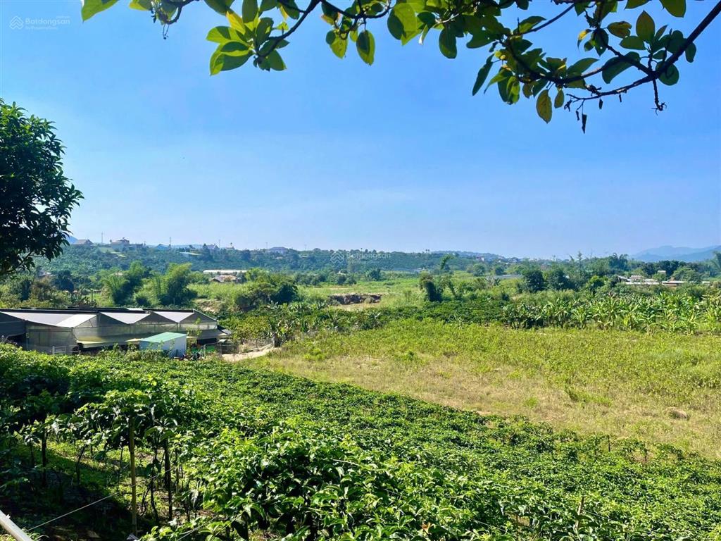 590 triệu  sổ riêng full thổ  kết nối nhanh tthc mới đức trọng