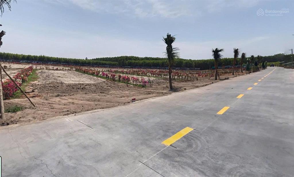 Bán đất tại long mỹ  láng dài, giá siêu hời 5,5 tỷ, 224,8m2
