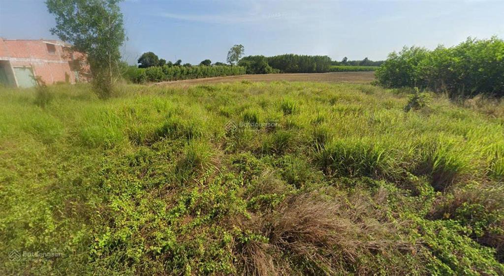 Bán đất tại xã láng dài, huyện long đất, bà rịa vũng tàu, 8,6 tỷ, 511,61 m2