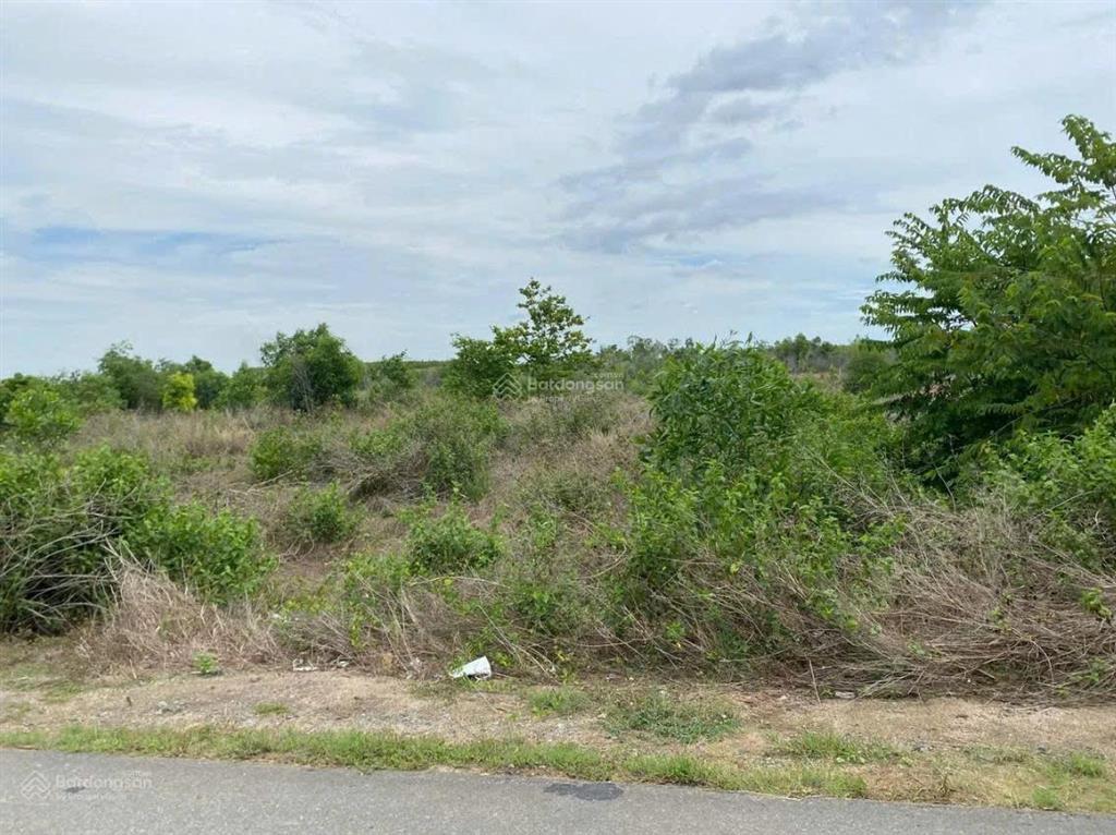 Bán đất tại lộc an, 10 tỷ, 498 m2, view đẹp, uy tín