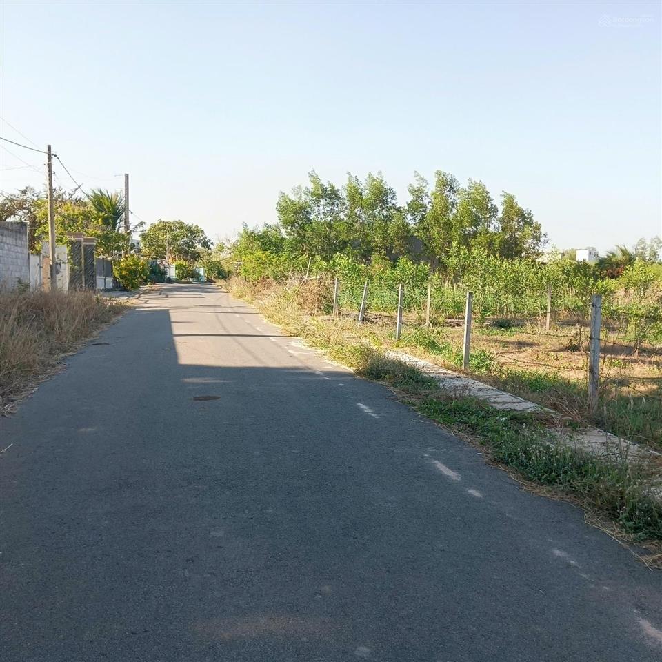 Bán đất 512.5m² có sẵn 80m² thổ cư ngang 10m giá 11.8 tỷ tại xã hồ tràm