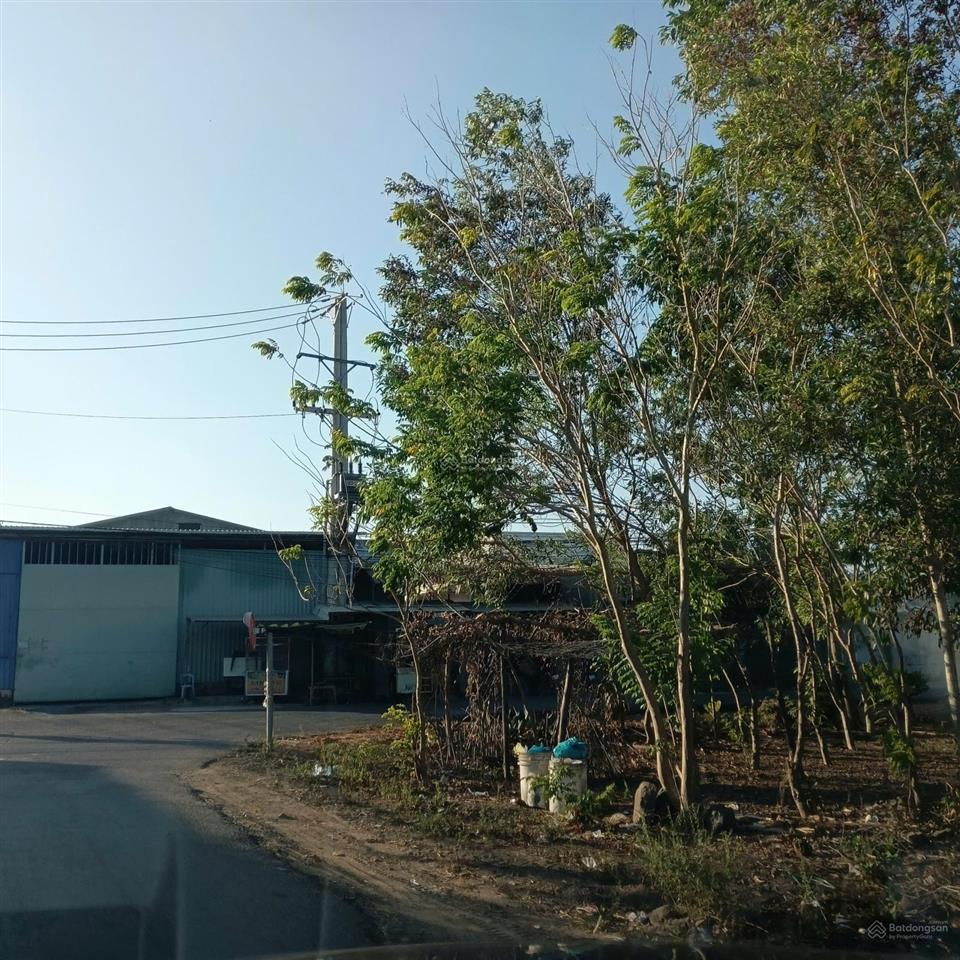 Bán đất mặt tiền đường nhánh xuyên phước cơ, phước thuận, xuyên mộc, bà rịa vũng tàu 1034m2