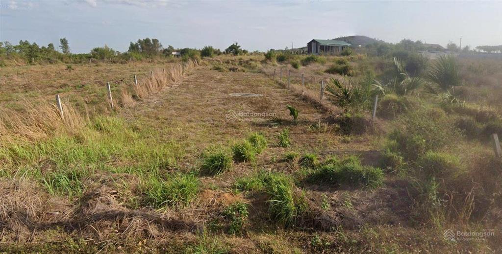 Bán đất mặt tiền nhựa tân trung, xã hồ tràm, tp.hcm diện tích 1080m2