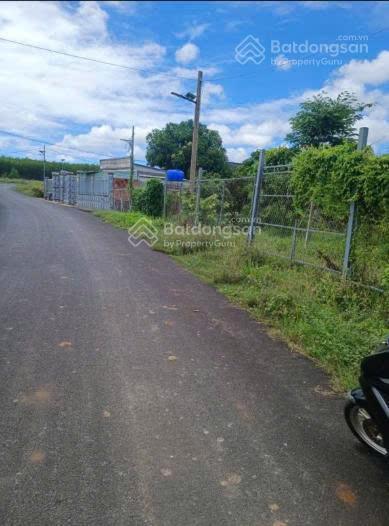 Bán đất mặt tiền nhựa tân trung, xã hồ tràm, tp.hcm diện tích 1080m2