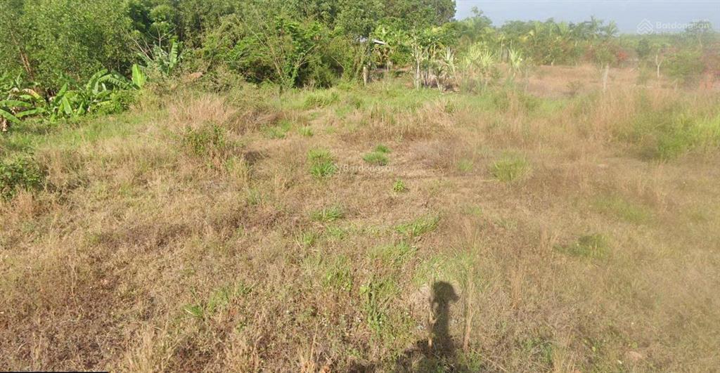 Bán đất tại phước tân, xuyên mộc, bà rịa vũng tàu, giá 9,7 tỷ, diện tích 1077,5 m2