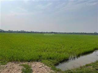 Bán đất 8528m2, giá giảm sâu, sổ riêng công chứng ngay
