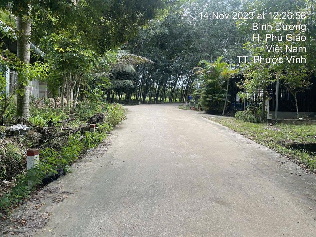 3553m2 mặt tiền nhánh bàu ao, phú giáo, bình dương đường ô tô chỉ 2 tỷ314