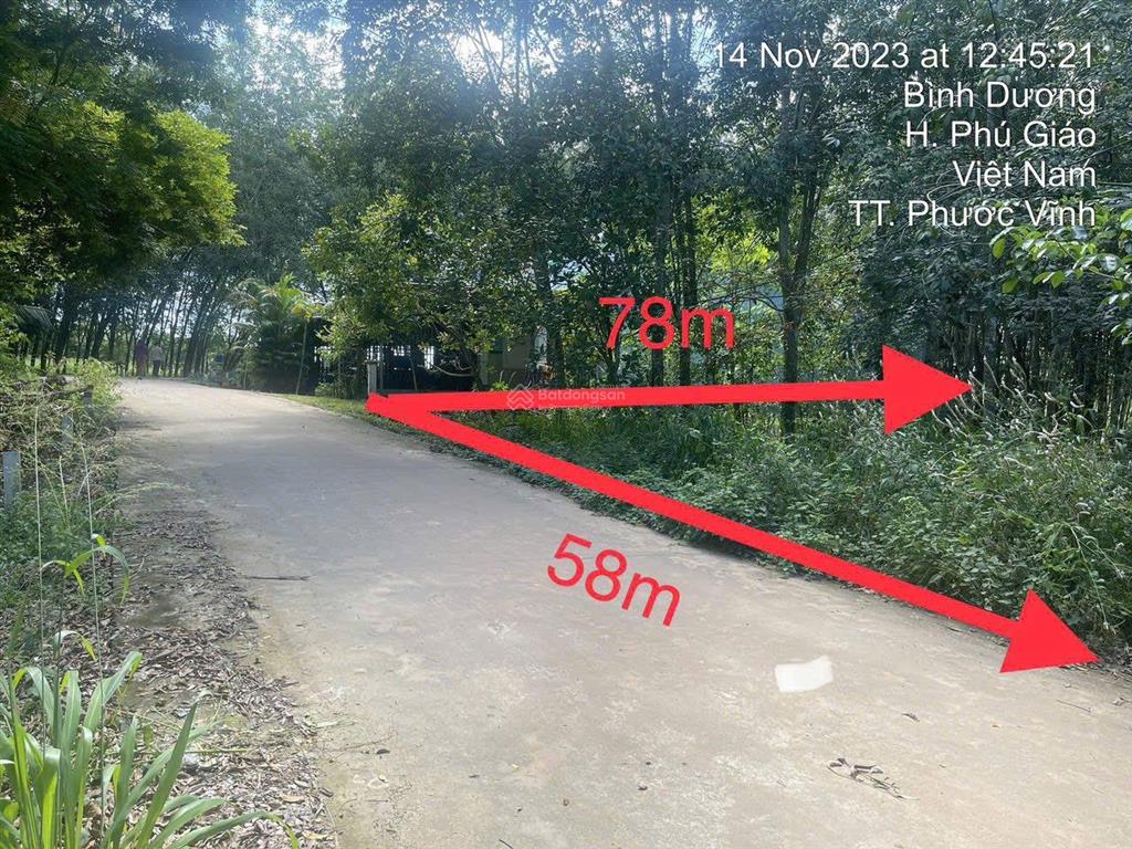 3553m2 mặt tiền nhánh bàu ao, phú giáo, bình dương đường ô tô chỉ 2 tỷ314