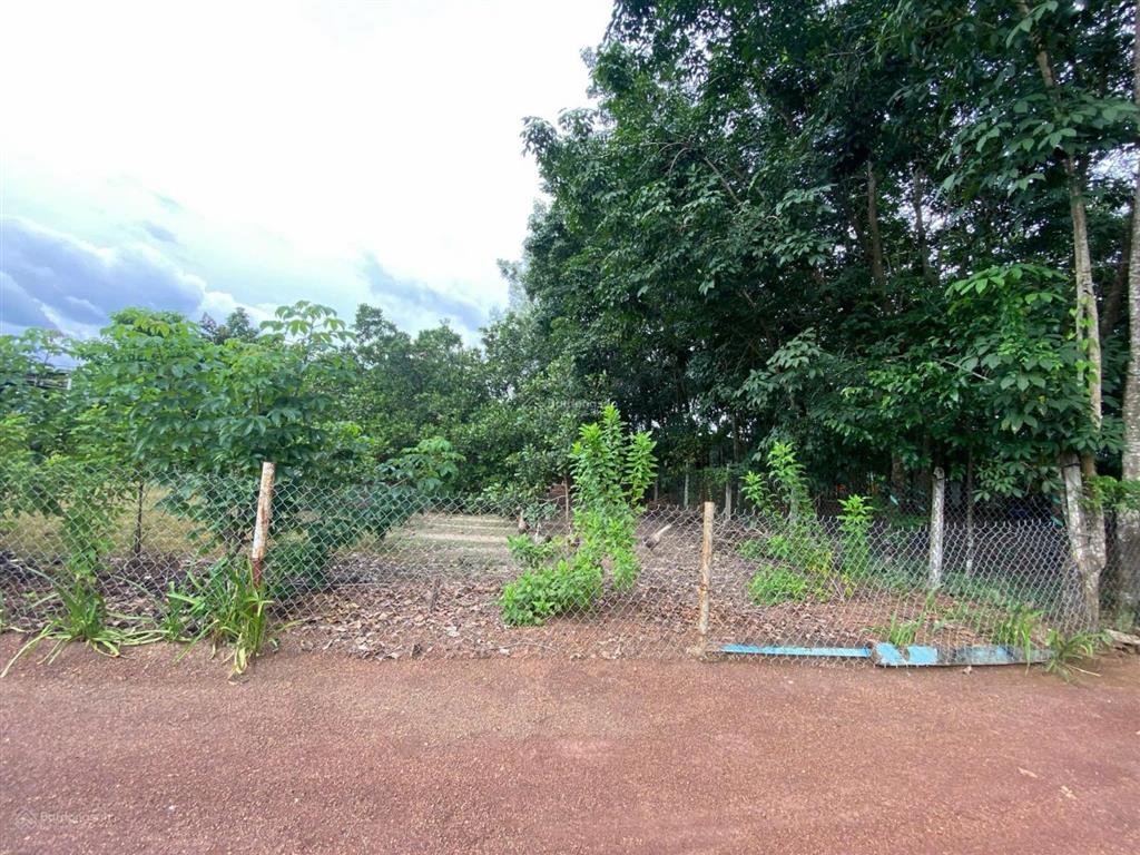 7mx47,34m giá rẻ 644 triệu nhánh đt 741, kp4, phường tân đồng, đồng xoài, bình phước
