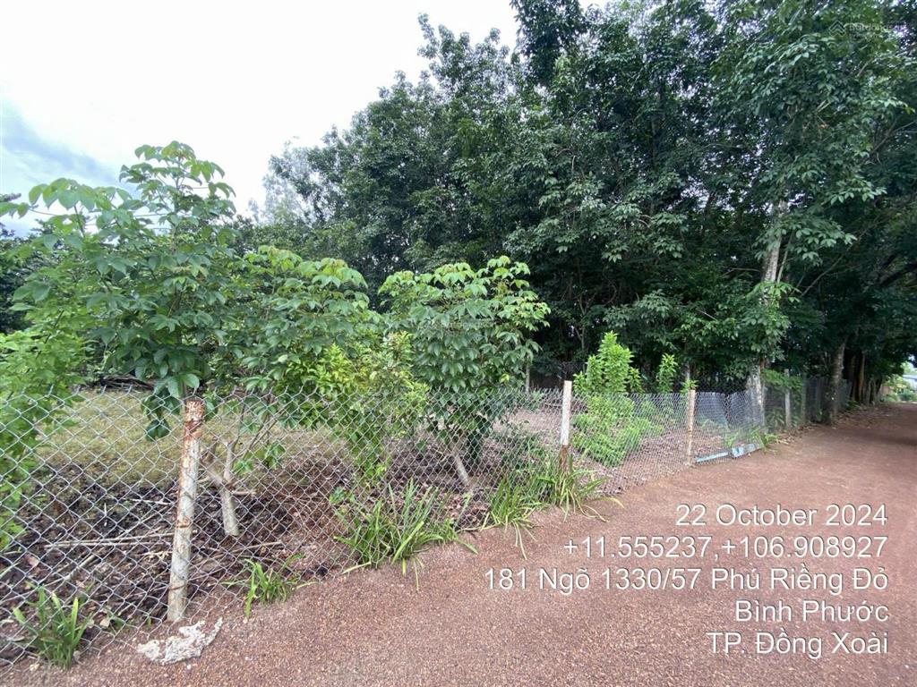 7mx47,34m giá rẻ 644 triệu nhánh đt 741, kp4, phường tân đồng, đồng xoài, bình phước