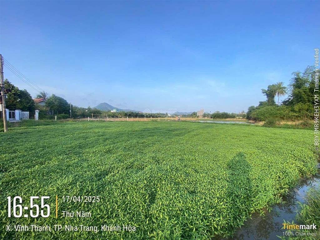 1176,5m2 hẻm phú bình, thôn phú thịnh, xã vĩnh thạnh, nha trang chỉ 2tỷ100