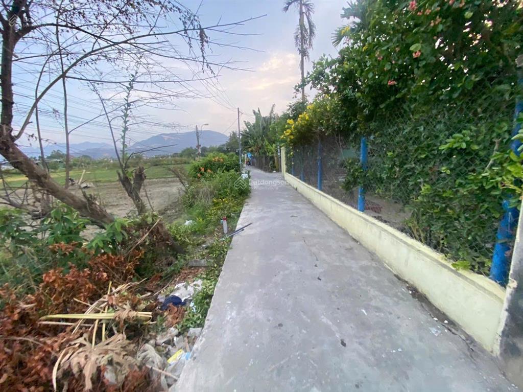 1176,5m2 hẻm phú bình, thôn phú thịnh, xã vĩnh thạnh, nha trang chỉ 2tỷ100