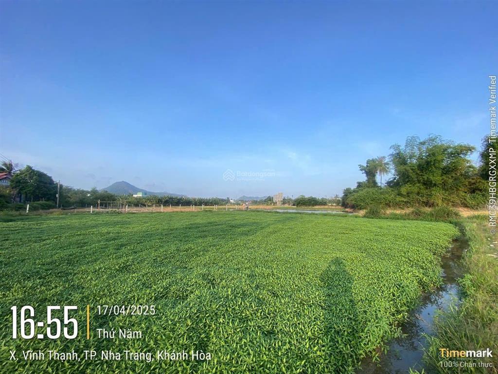 1176,5m2 hẻm phú bình, thôn phú thịnh, xã vĩnh thạnh, nha trang chỉ 2tỷ100