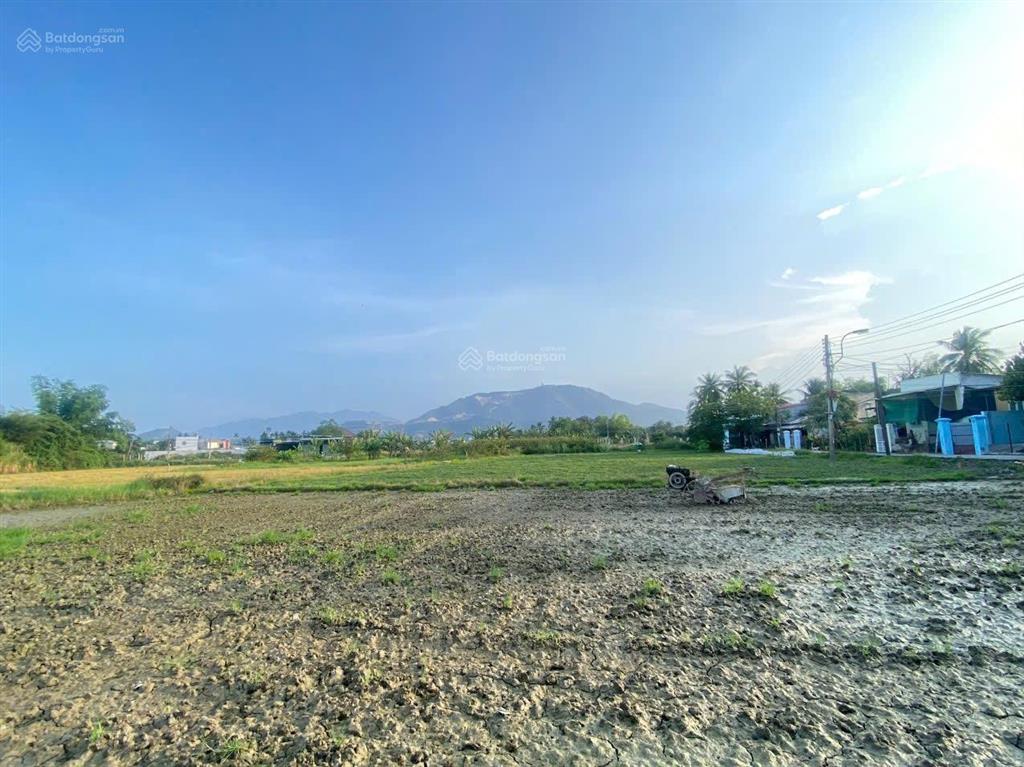 1176,5m2 hẻm phú bình, thôn phú thịnh, xã vĩnh thạnh, nha trang chỉ 2tỷ100
