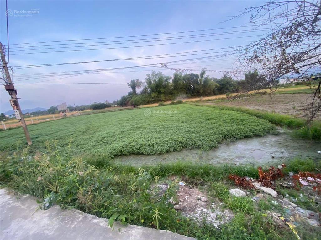 1176,5m2 hẻm phú bình, thôn phú thịnh, xã vĩnh thạnh, nha trang chỉ 2tỷ100
