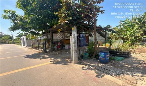 288.6m2 = 1tỷ515 nhánh ql13, phường tân định bến cát, bình dương