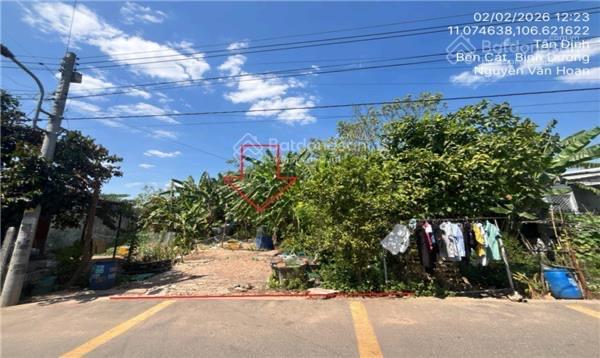 288.6m2 = 1tỷ515 nhánh ql13, phường tân định bến cát, bình dương